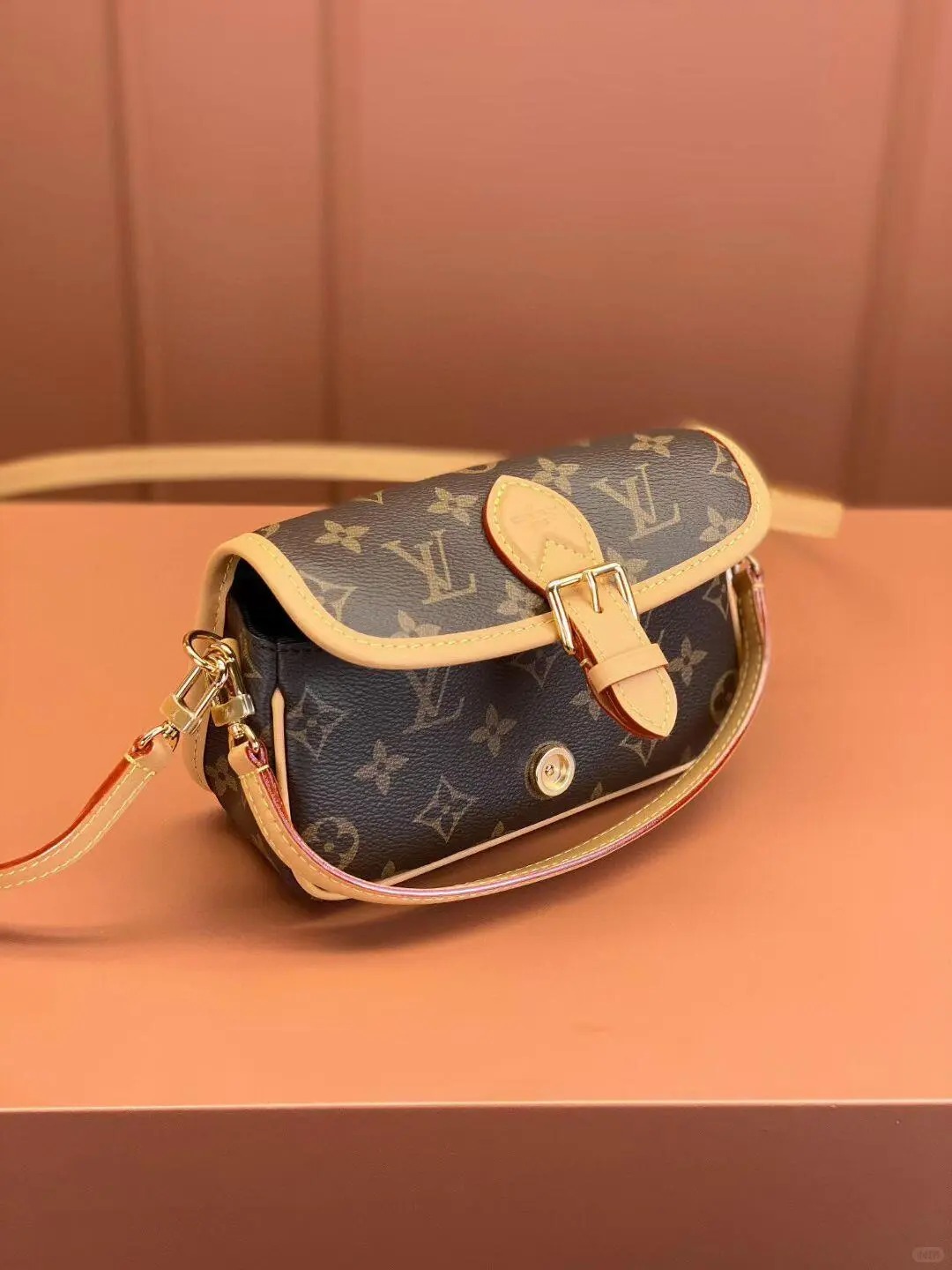 The LV NeoNoé Monogram bag with its bucket bag shape.